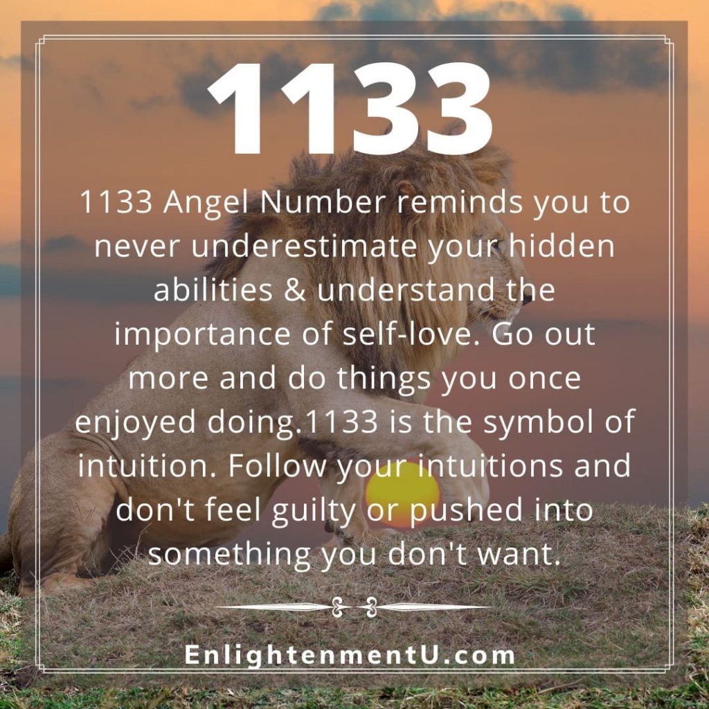 1133 Angel Number Meaning
