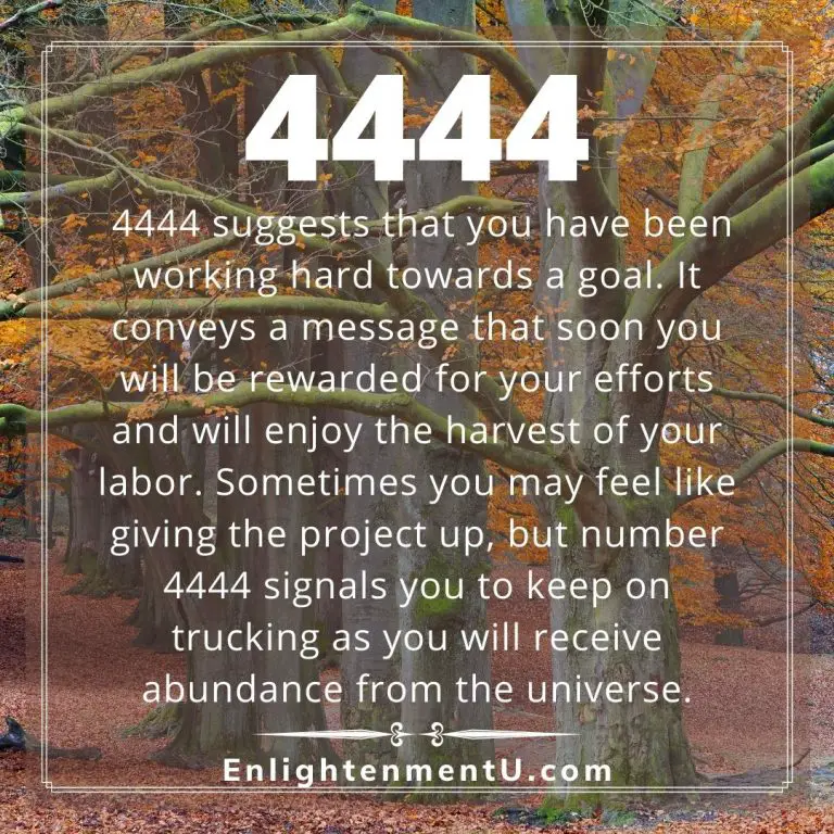 4444 Angel Number – Enjoy The Bounty Of Your Harvest | Seeing 4444 Meaning
