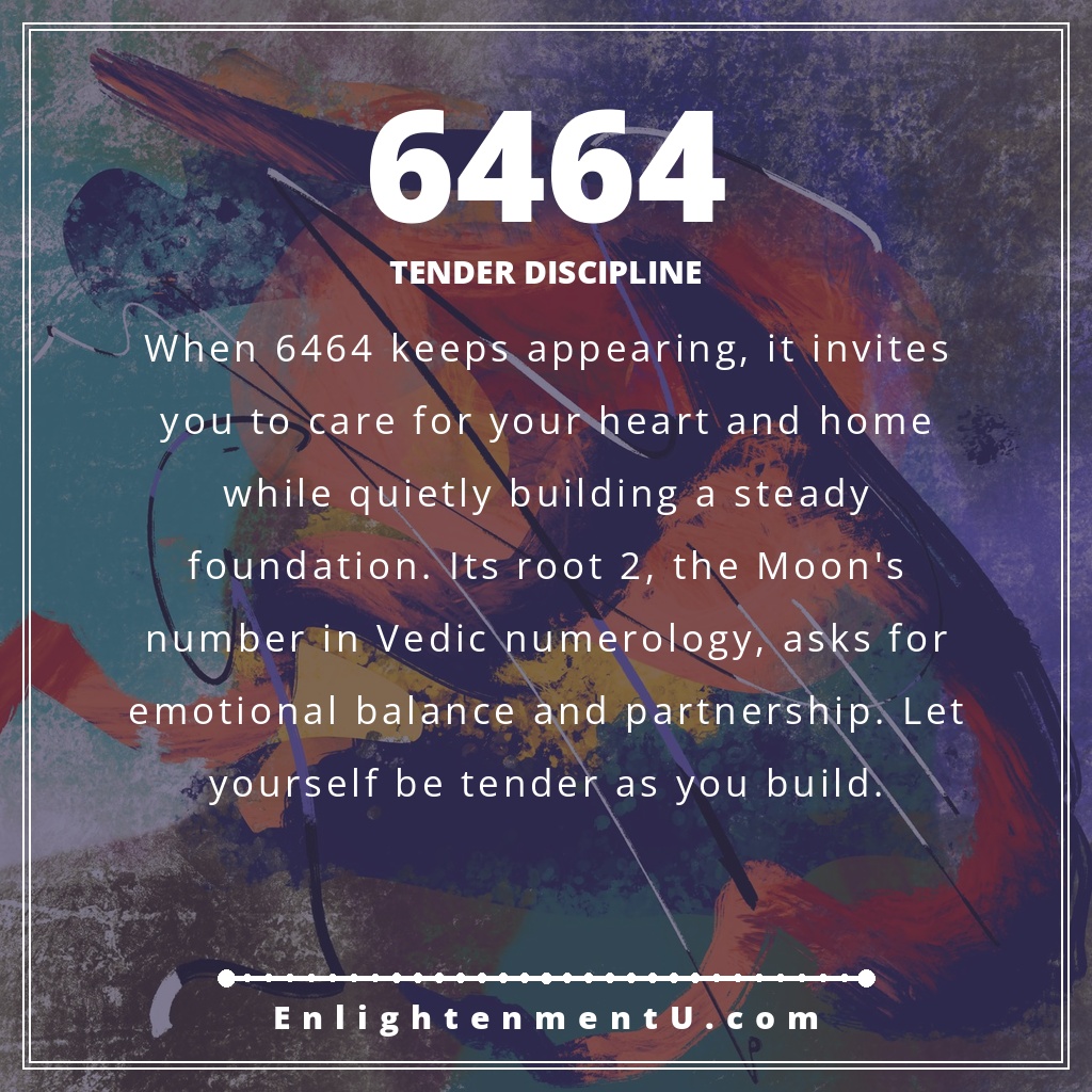 6464 angel number pin featuring the number 6464 in elegant script over a soft celestial background; text reads 'Tender Discipline', meaning of seeing 6464 angel number.