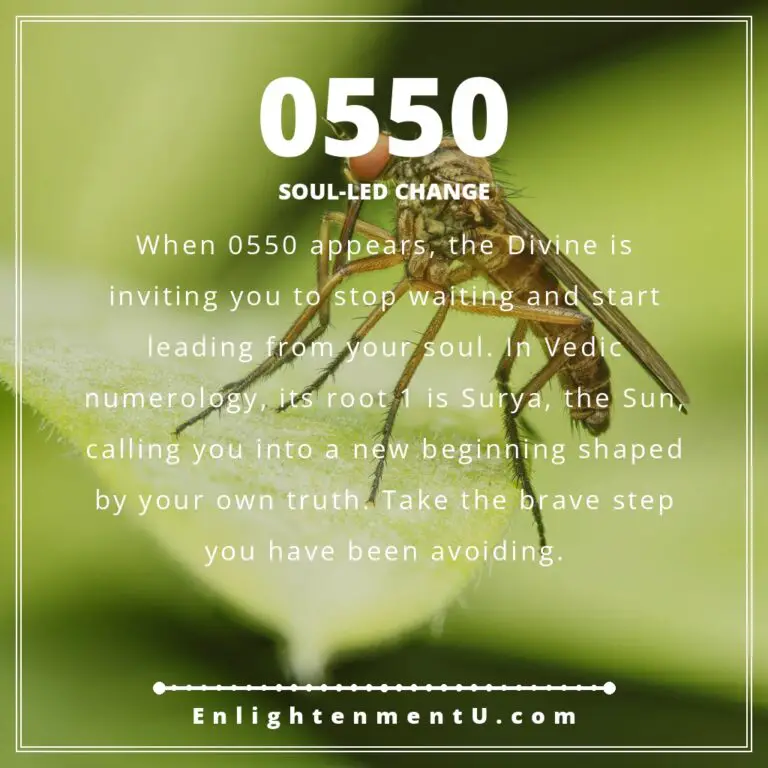 Read more about the article 0550 Angel Number Meaning: Love, Money & Vedic Insight