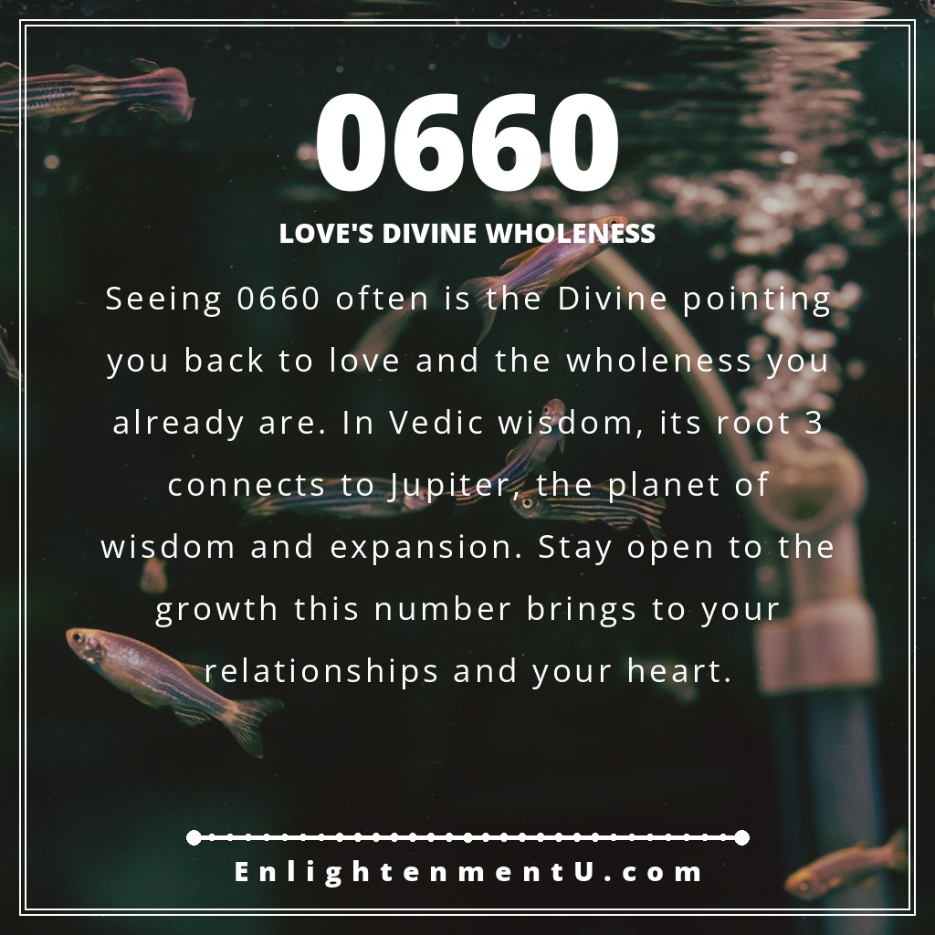 Meaning of seeing 0660 angel number