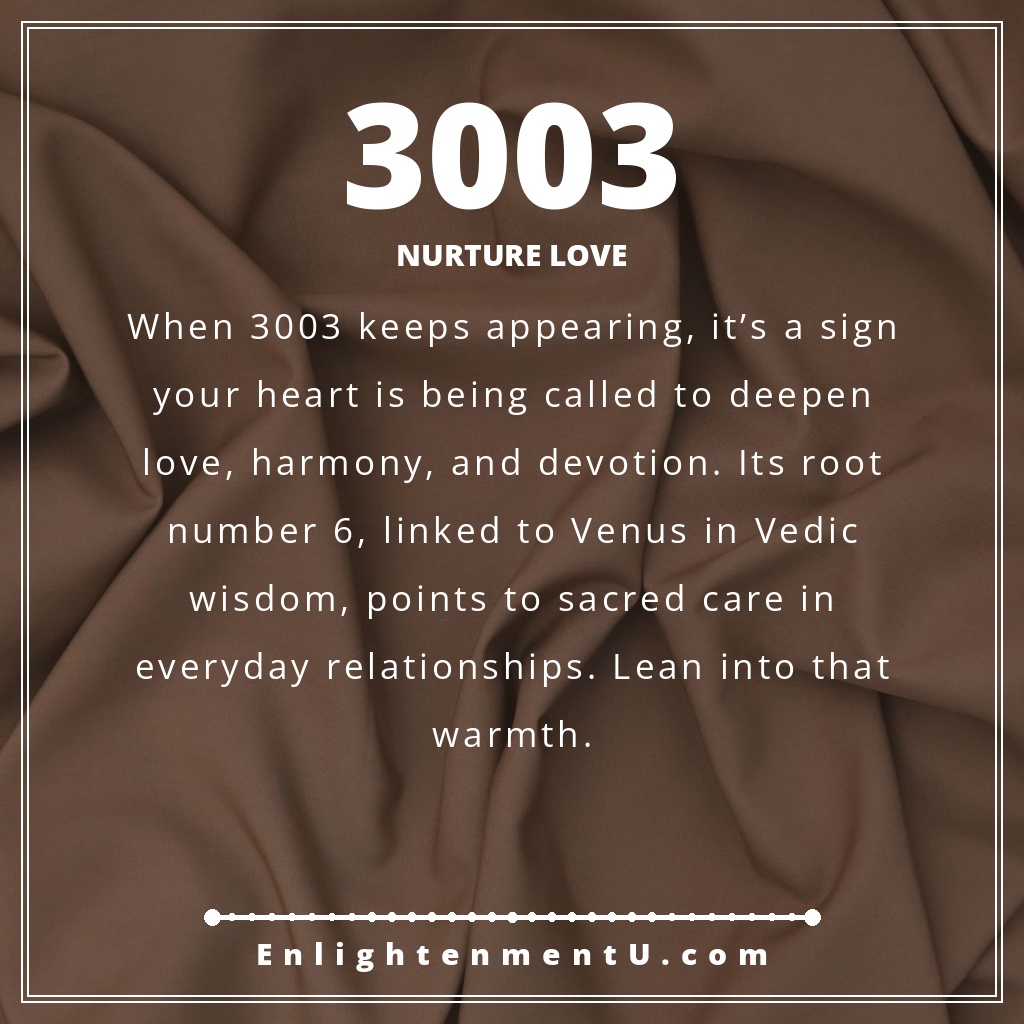 Meaning of seeing 3003 angel number