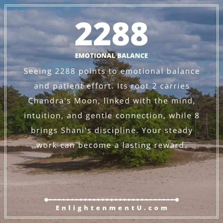 Read more about the article Significato del numero angelico 2288: amore, denaro e visione vedica