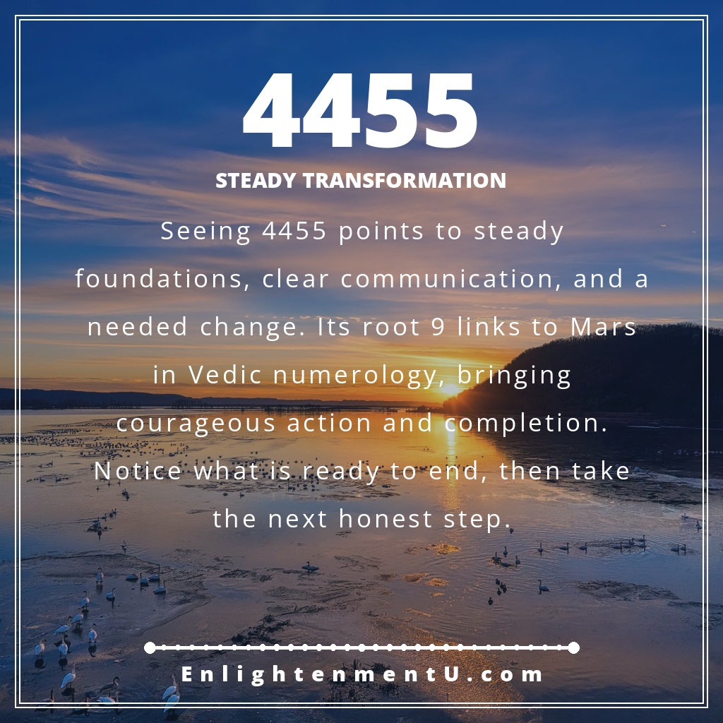 4455 angel number pin with the number 4455 over a calm sunrise and structured path; text reads 'Steady Transformation', meaning of seeing 4455 angel number