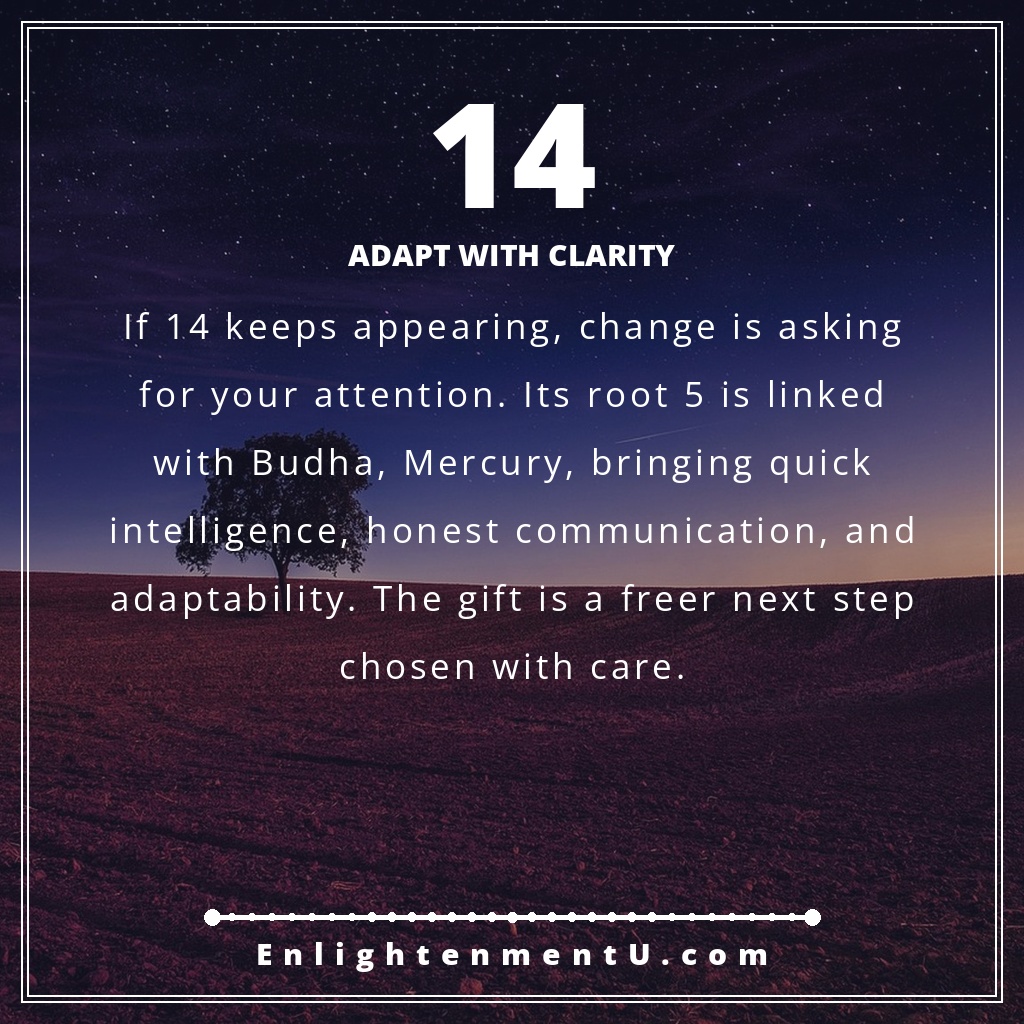 14 angel number pin with the number 14 in large type over a warm spiritual background; text reads 'Adapt With Clarity,' meaning of seeing 14 angel number.