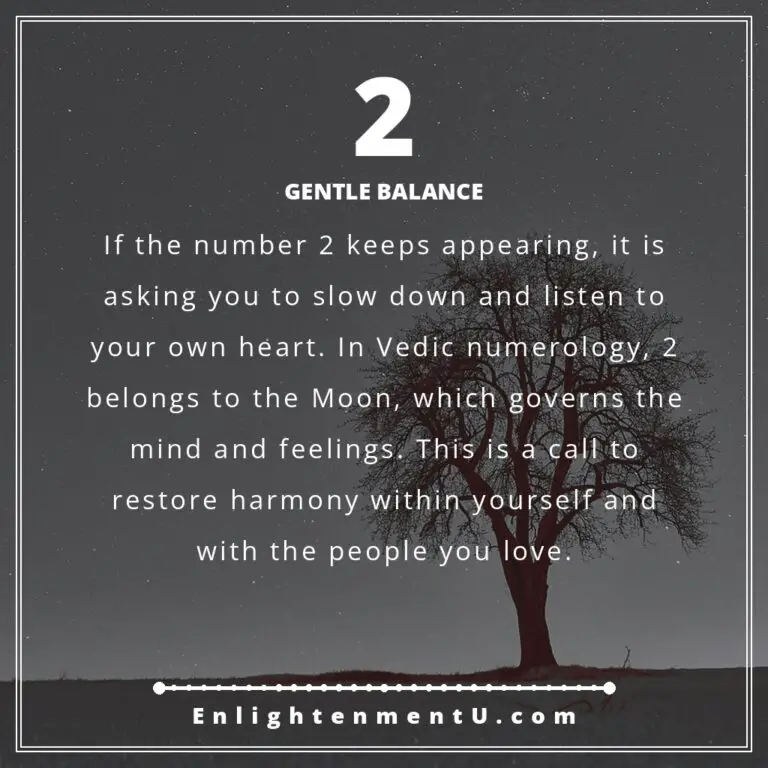 Read more about the article 2 Angel Number Meaning: Love, Harmony & Vedic Insight
