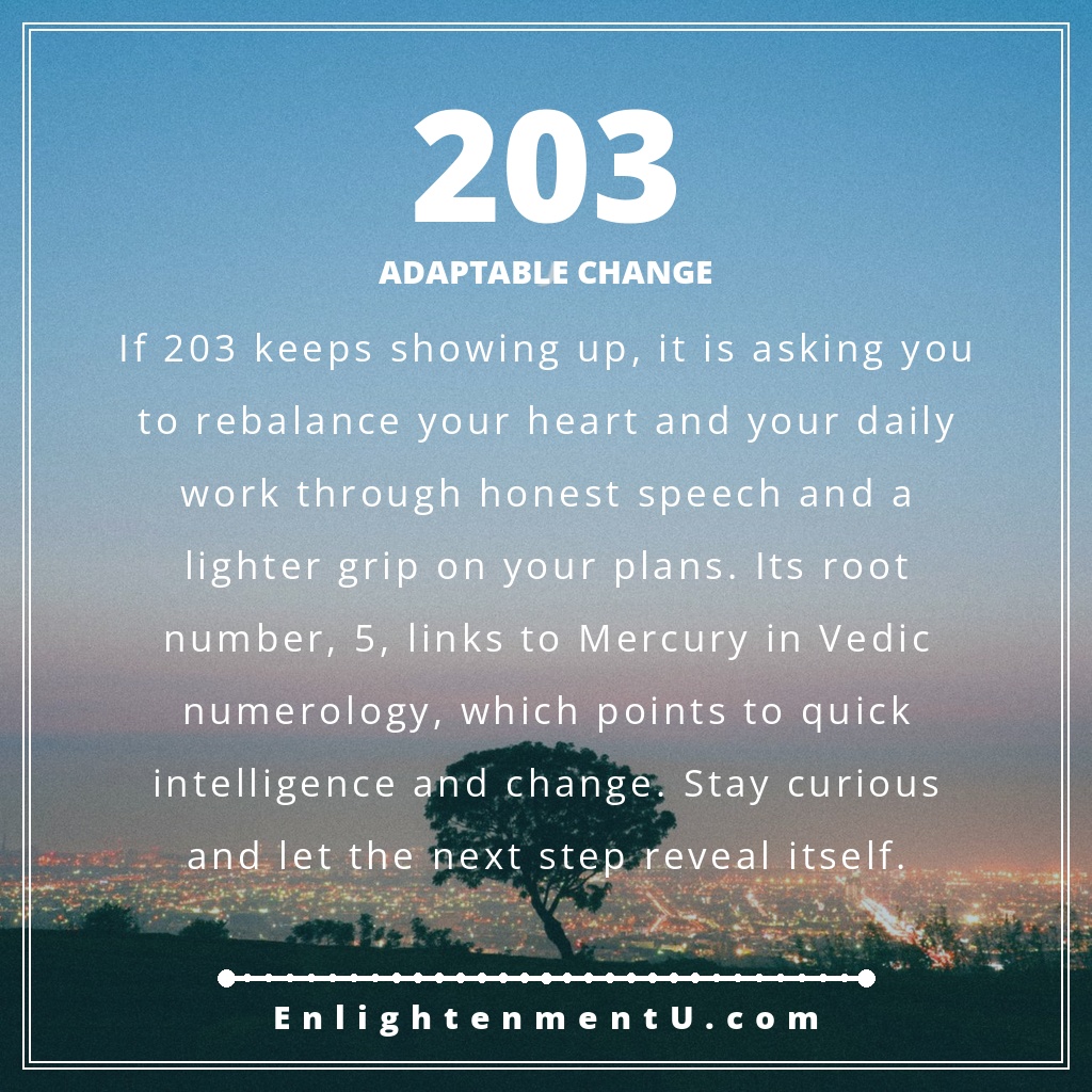 Meaning of seeing 203 angel number