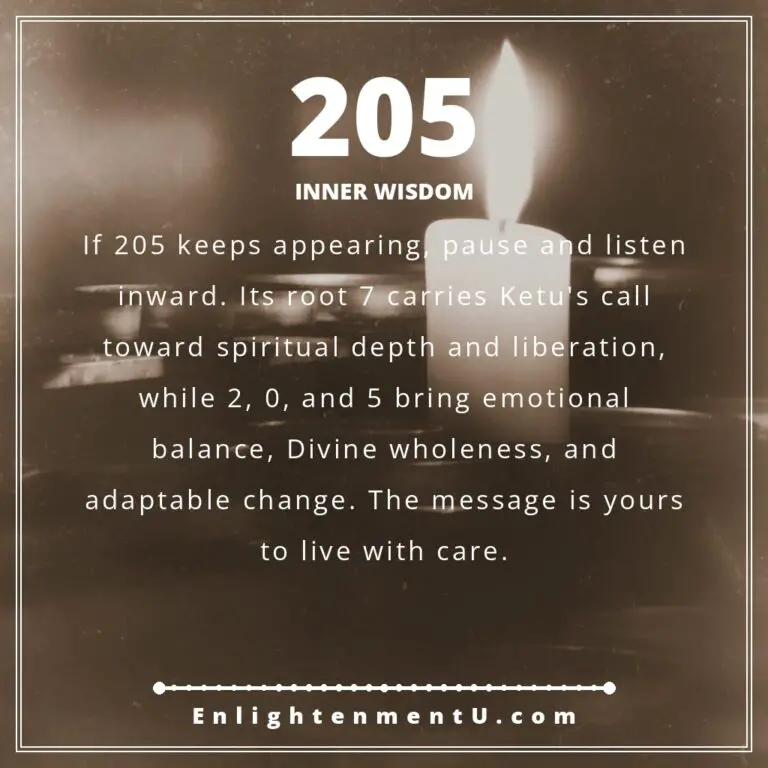 Read more about the article 205 Angel Number Meaning: Love, Money & Vedic Insight