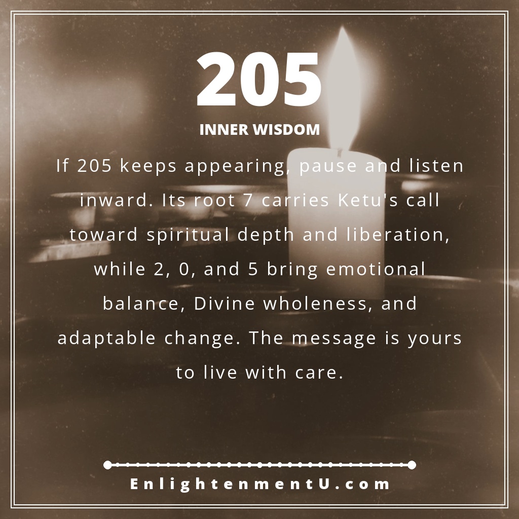 205 angel number pin with the number 205 over a quiet night sky and open journal; text reads 'Inner Wisdom', meaning of seeing 205 angel number.